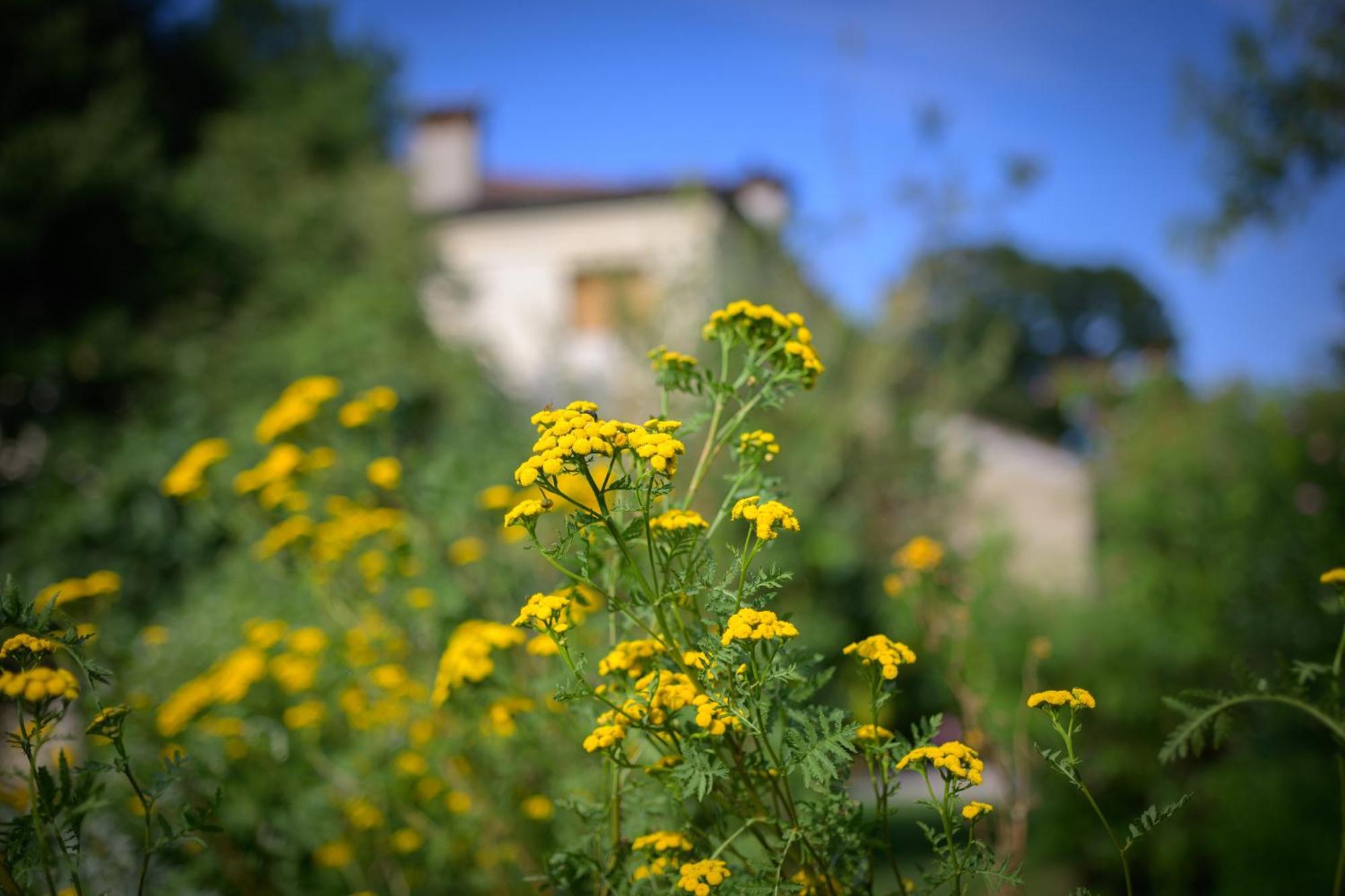 Palazzetto Ardi Bed & Breakfast Torri di Confine Luaran gambar